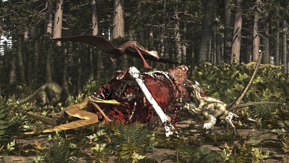 Deinonychus & Coloborhynchus birds feed on a dinosaur carcass Canvas Art - Arthur DoretyStocktrek Images (38 x 22)