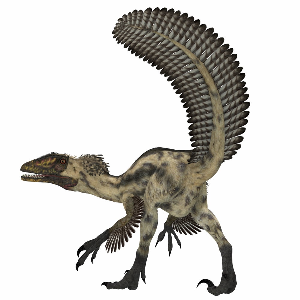 Deinonychus a carnivorous dinosaur from the early Cretaceous Period Canvas Art - Corey FordStocktrek Images (29 x 29)