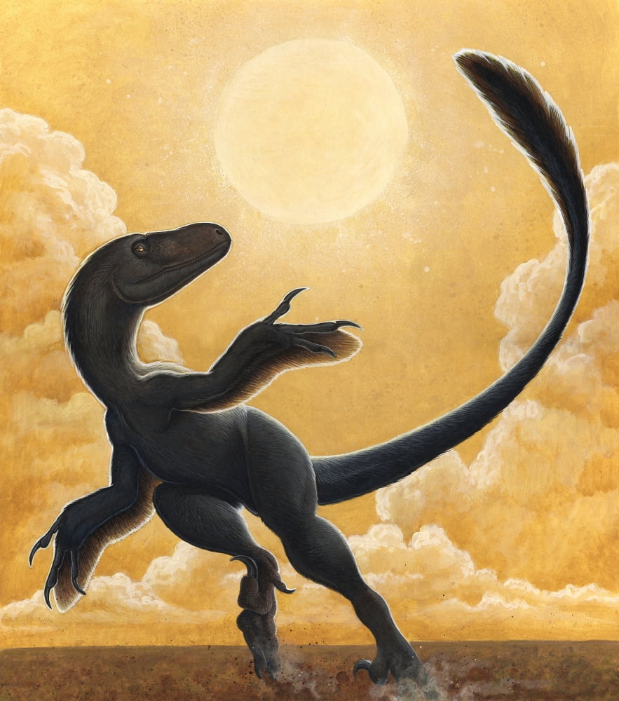 Deinonychus antirrhopus dancing in the Sun Canvas Art - H Kyoht LutermanStocktrek Images (27 x 30)