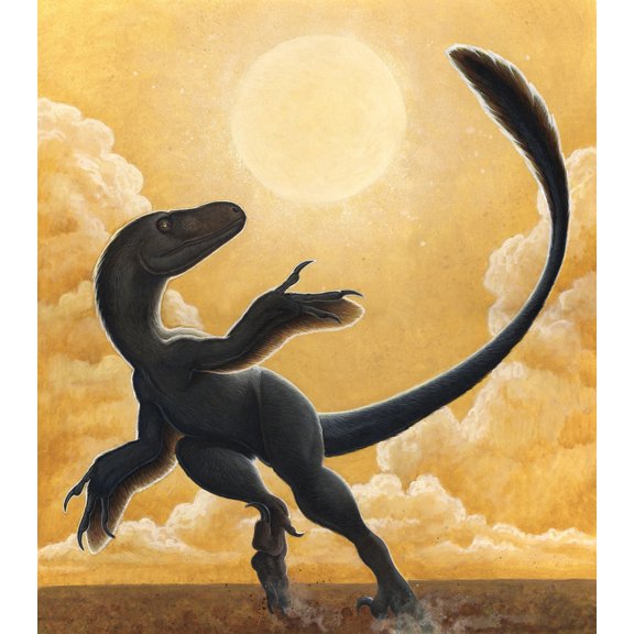 Deinonychus antirrhopus dancing in the Sun Canvas Art - H Kyoht LutermanStocktrek Images (27 x 30)