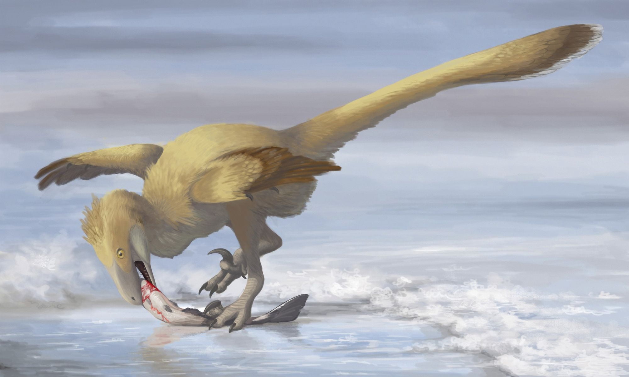 Deinonychus antirrhopus preys on a fish Canvas Art - Emily WilloughbyStocktrek Images (36 x 22)