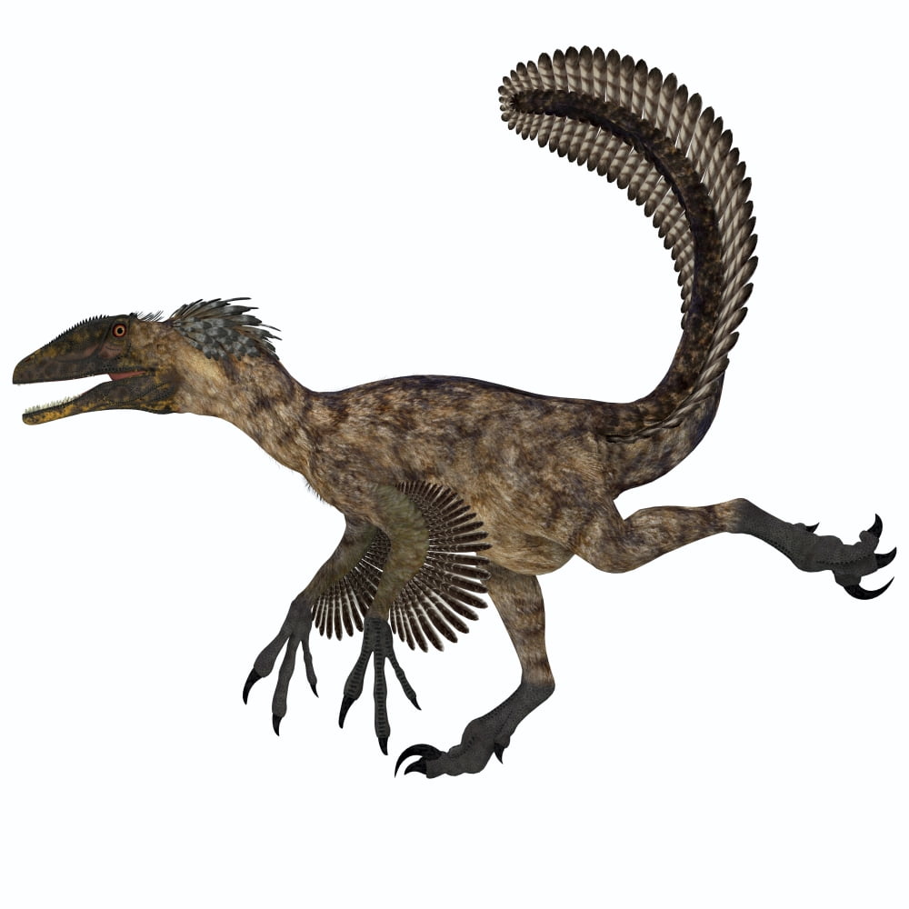 Deinonychus dinosaur Canvas Art - Corey FordStocktrek Images (29 x 29)