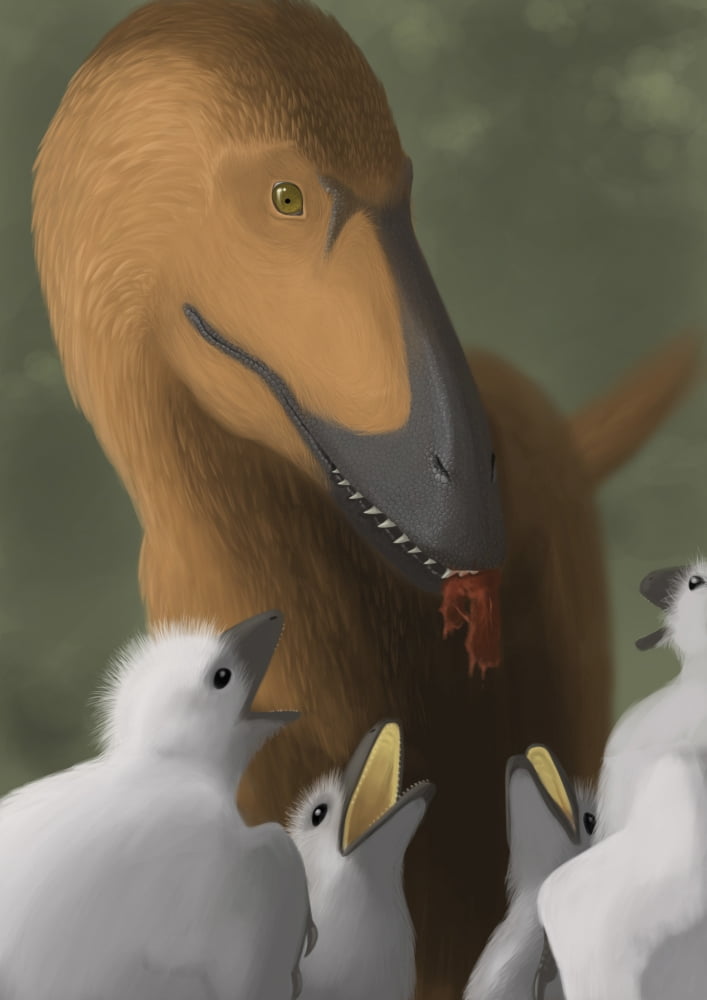 Deinonychus dinosaur feeding its young Canvas Art - Michele DessiStocktrek Images (12 x 17)