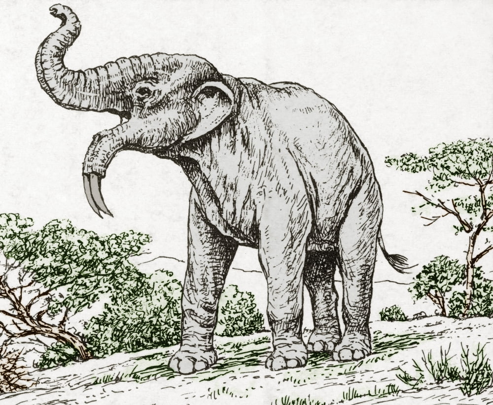 Deinotherium