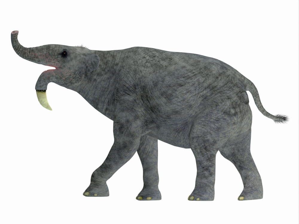 Deinotherium mammal side view Canvas Art - Corey FordStocktrek Images (32 x 24)