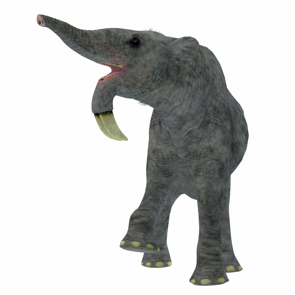 Deinotherium on white background Canvas Art - Corey FordStocktrek Images (28 x 28)