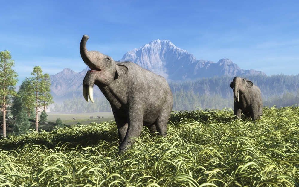 Deinotherium traverse the rolling plains of what is today Europe Canvas Art - Walter MyersStocktrek Images (36 x 23)