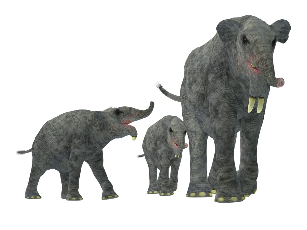 Deinotherium with offspring Canvas Art - Corey FordStocktrek Images (16 x 12)