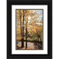 thumbnail image 1 of Deiter, Lori 11x14 Black Ornate Wood Framed with Double Matting Museum Art Print Titled - Autumn Light at Letchworth, 1 of 4