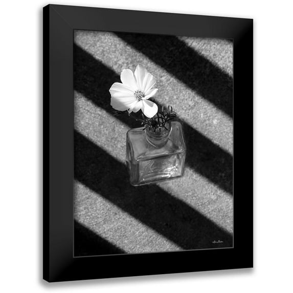 Deiter, Lori 12x14 Black Modern Framed Museum Art Print Titled - Cosmos and Shadows
