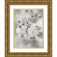 thumbnail image 1 of Deiter, Lori 12x14 Gold Ornate Wood Framed with Double Matting Museum Art Print Titled - Painted Blossoms I, 1 of 4