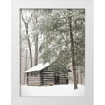 thumbnail image 1 of Deiter, Lori 12x14 White Modern Wood Framed Museum Art Print Titled - Cabin Fever, 1 of 4