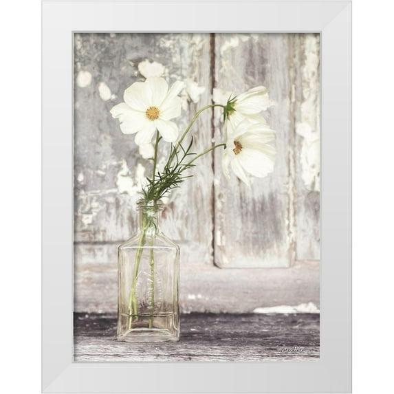 Deiter, Lori 12x14 White Modern Wood Framed Museum Art Print Titled - Cosmos Summer Bloom