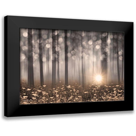 Deiter, Lori 14x11 Black Modern Framed Museum Art Print Titled - Enchanted Morning