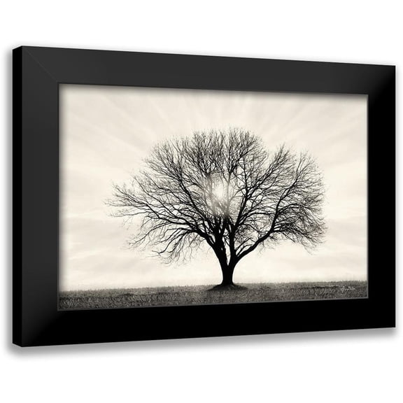 Deiter, Lori 14x11 Black Modern Framed Museum Art Print Titled - Grow in Different Directions
