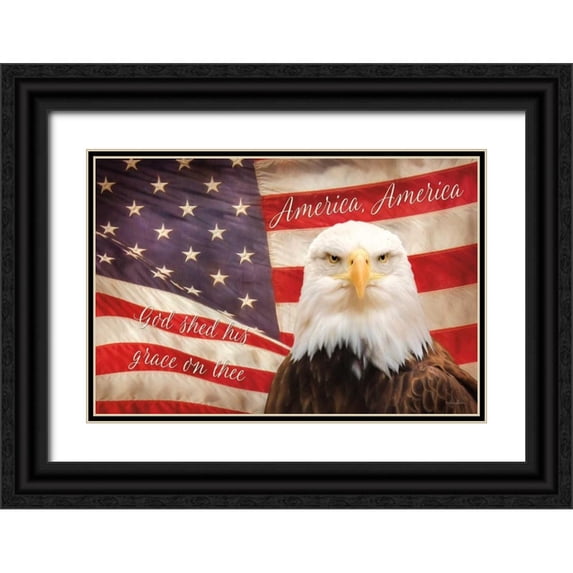 Deiter, Lori 14x11 Black Ornate Wood Framed with Double Matting Museum Art Print Titled - American Eagle Flag