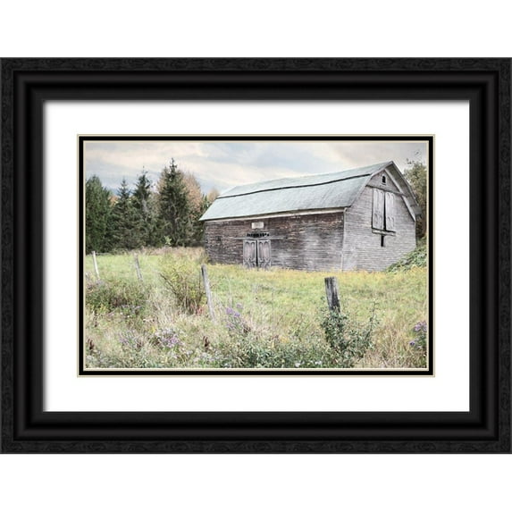 Deiter, Lori 14x11 Black Ornate Wood Framed with Double Matting Museum Art Print Titled - Rustic Country Barn