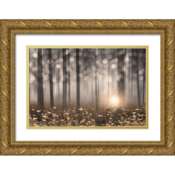 Deiter, Lori 14x11 Gold Ornate Wood Framed with Double Matting Museum Art Print Titled - Enchanted Morning