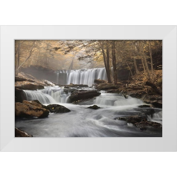 Deiter, Lori 14x11 White Modern Wood Framed Museum Art Print Titled - Golden Oneida Falls
