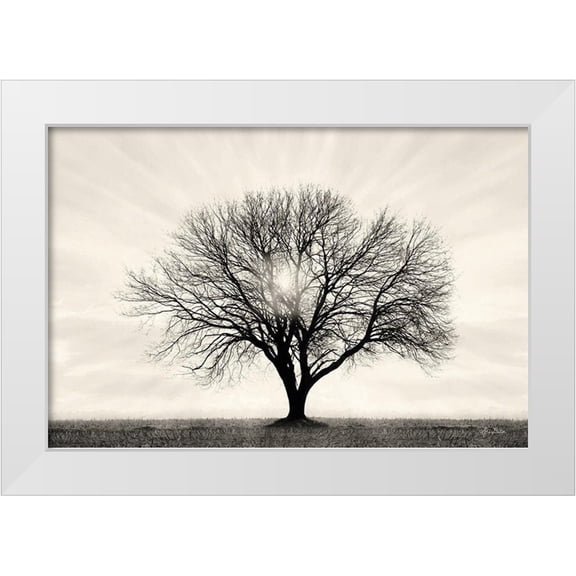 Deiter, Lori 14x11 White Modern Wood Framed Museum Art Print Titled - Grow in Different Directions