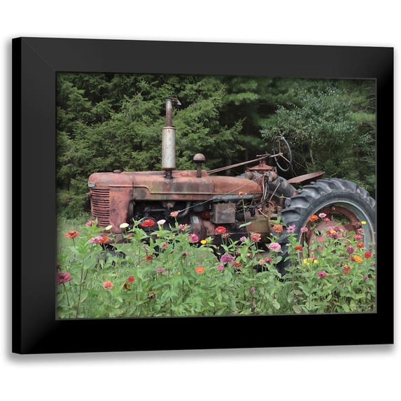 Deiter, Lori 14x12 Black Modern Framed Museum Art Print Titled - Hidden Gem