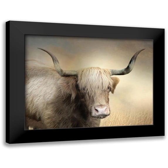 Deiter, Lori 14x12 Black Modern Framed Museum Art Print Titled - Highland Cow in Golden Grass