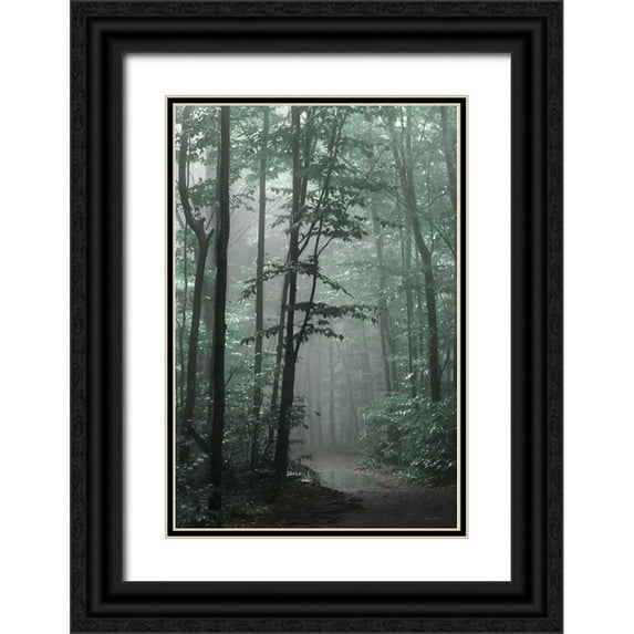 Deiter, Lori 17x24 Black Ornate Wood Framed with Double Matting Museum Art Print Titled - Misty Forest