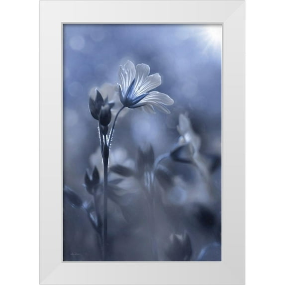 Deiter, Lori 17x24 White Modern Wood Framed Museum Art Print Titled - Blue and White Flowers I