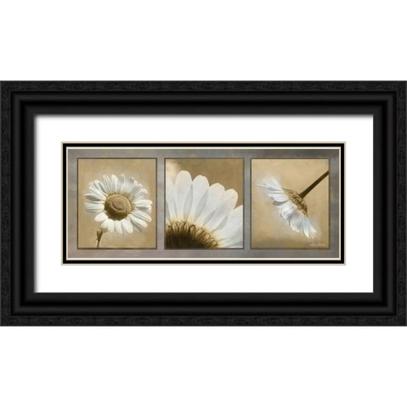 Deiter, Lori 18x10 Black Ornate Wood Framed with Double Matting Museum Art Print Titled - Daisy Trio