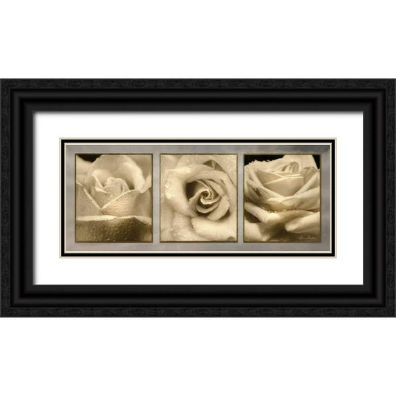 Deiter, Lori 18x10 Black Ornate Wood Framed with Double Matting Museum Art Print Titled - Rose Trio