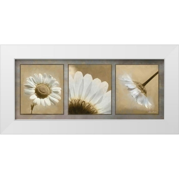 Deiter, Lori 18x10 White Modern Wood Framed Museum Art Print Titled - Daisy Trio