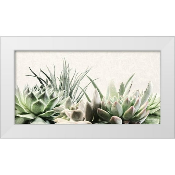 Deiter, Lori 18x11 White Modern Wood Framed Museum Art Print Titled - Soft Succulents II