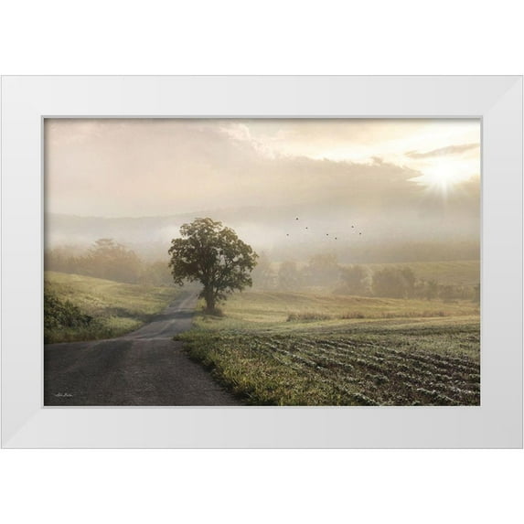 Deiter, Lori 18x13 White Modern Wood Framed Museum Art Print Titled - Foggy Country Road II