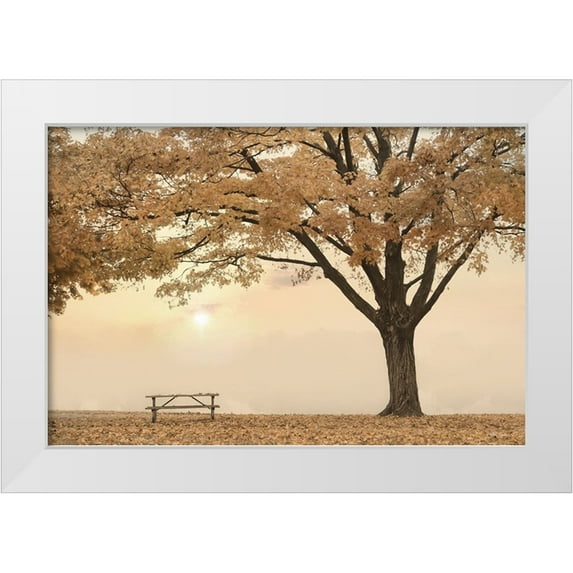 Deiter, Lori 18x13 White Modern Wood Framed Museum Art Print Titled - Perfect Picnic Spot