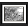 thumbnail image 1 of Deiter, Lori 18x15 Black Ornate Wood Framed with Double Matting Museum Art Print Titled - Wild Flowers III, 1 of 4