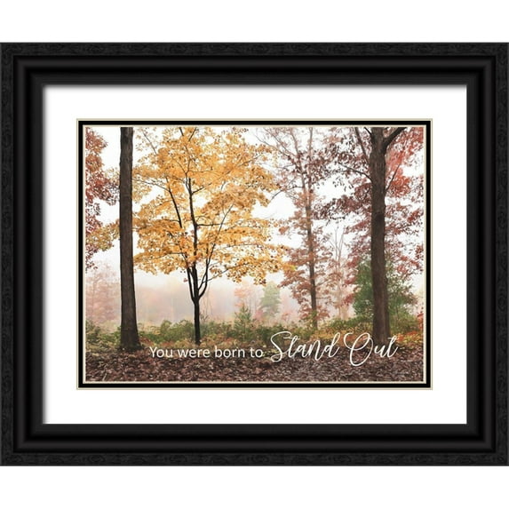 Deiter, Lori 18x15 Black Ornate Wood Framed with Double Matting Museum Art Print Titled - You Were Born to Stand Out