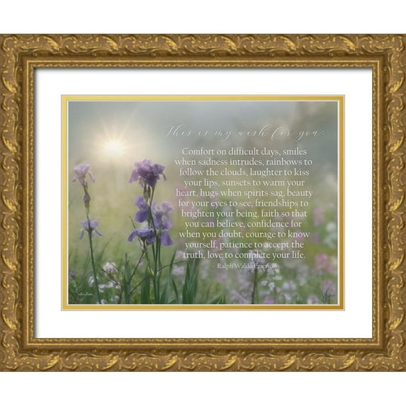 Deiter, Lori 18x15 Gold Ornate Wood Framed with Double Matting Museum Art Print Titled - My Wish for You - Floral