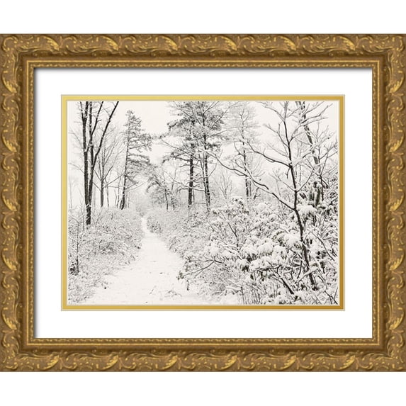 Deiter, Lori 18x15 Gold Ornate Wood Framed with Double Matting Museum Art Print Titled - Winter Walk
