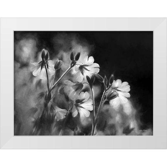 Deiter, Lori 18x15 White Modern Wood Framed Museum Art Print Titled - Black and White Flowers