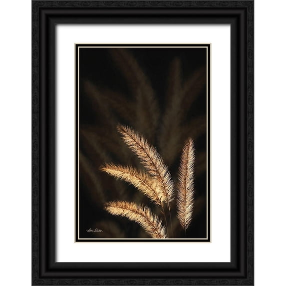 Deiter, Lori 23x32 Black Ornate Wood Framed with Double Matting Museum Art Print Titled - Golden Grass I