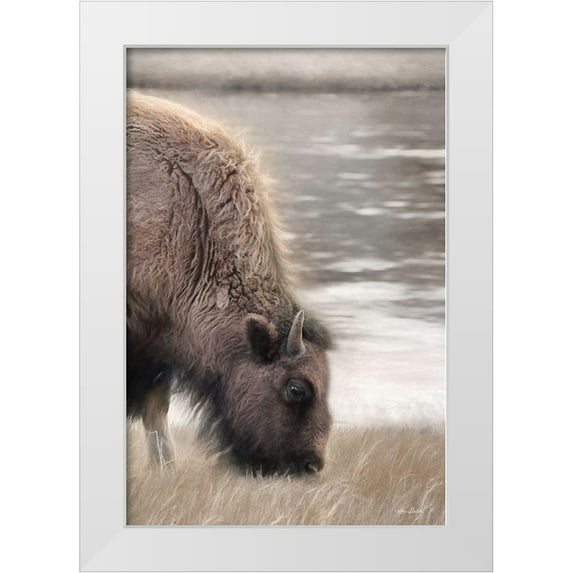 Deiter, Lori 23x32 White Modern Wood Framed Museum Art Print Titled - Yellowstone Buffalo