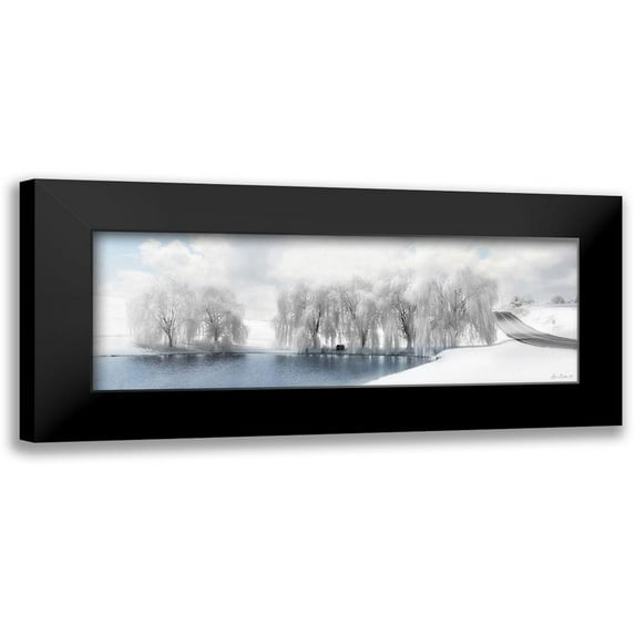 Deiter, Lori 24x11 Black Modern Framed Museum Art Print Titled - Winter Willow