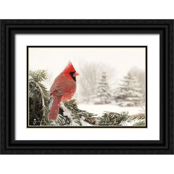 Deiter, Lori 24x17 Black Ornate Wood Framed with Double Matting Museum Art Print Titled - Winter Perch