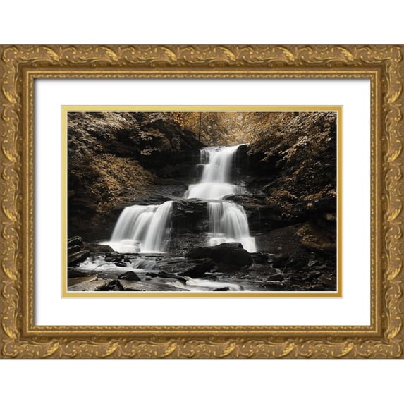 Deiter, Lori 24x17 Gold Ornate Wood Framed with Double Matting Museum Art Print Titled - Golden Waterfall II