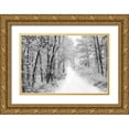 thumbnail image 1 of Deiter, Lori 24x17 Gold Ornate Wood Framed with Double Matting Museum Art Print Titled - Snowy Lane, 1 of 4