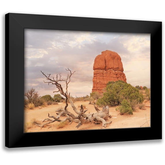 Deiter, Lori 24x19 Black Modern Framed Museum Art Print Titled - Dusty Desert I