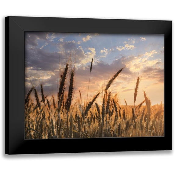 Deiter, Lori 24x19 Black Modern Framed Museum Art Print Titled - Summer Field