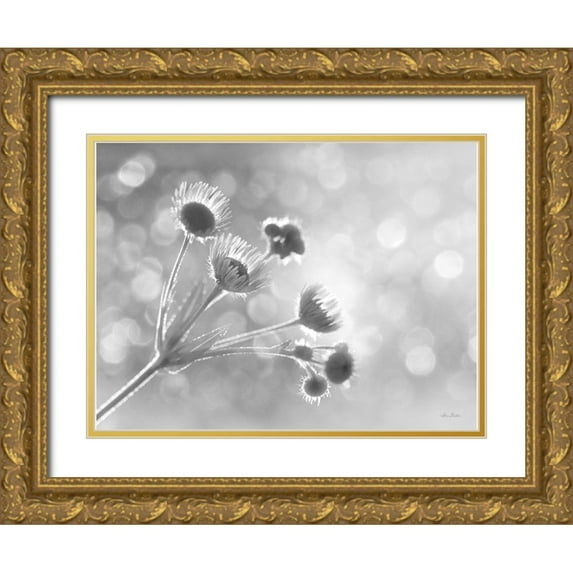 Deiter, Lori 24x19 Gold Ornate Wood Framed with Double Matting Museum Art Print Titled - Wild Flowers I