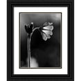 thumbnail image 1 of Deiter, Lori 25x32 Black Ornate Wood Framed with Double Matting Museum Art Print Titled - Black and White Flower, 1 of 4