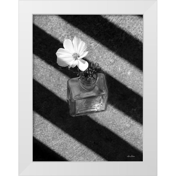 Deiter, Lori 25x32 White Modern Wood Framed Museum Art Print Titled - Cosmos and Shadows